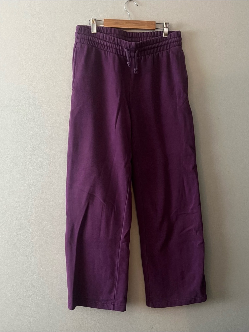 Aritzia TNA CozyFleece Eggplant Sweatpants